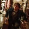 Eddie-Redmayne