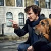 sherlock-bbc-mit-hund-DDP