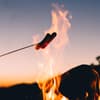 Grillen Lagerfeuer Glück 