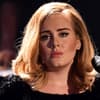adele-doppelgaengerin