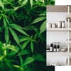 cannabis-beauty