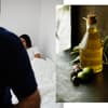 olivenöl-öl-viagra-sex-lust-steigern-männer