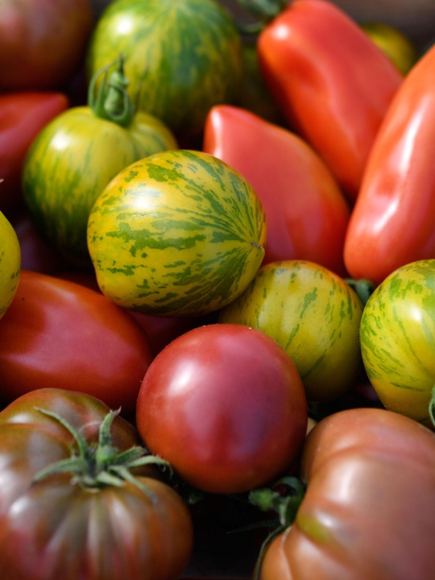 Tomaten Tomaten