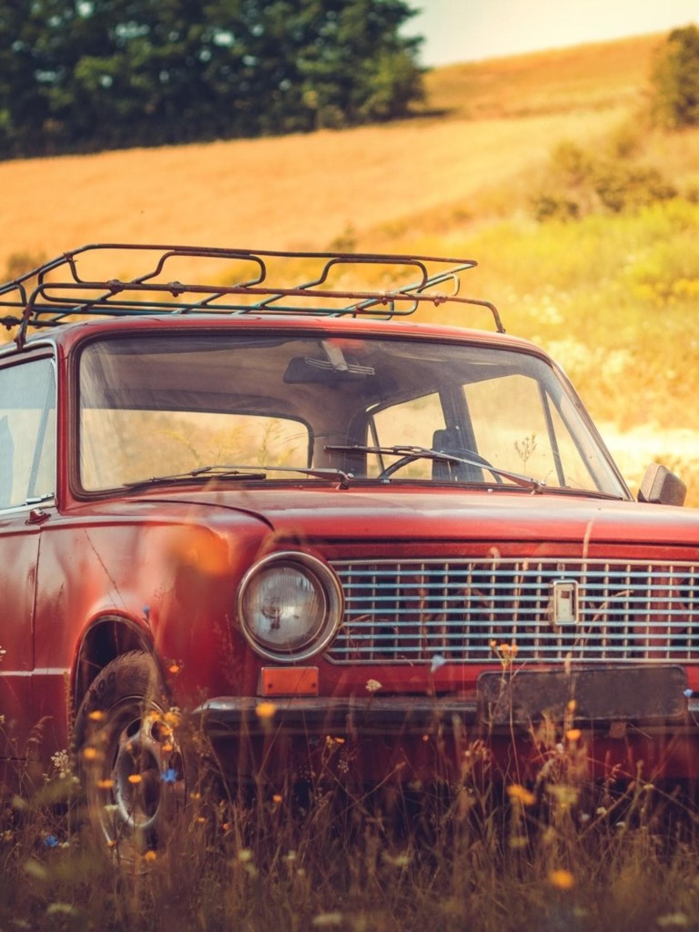 Sex im Auto