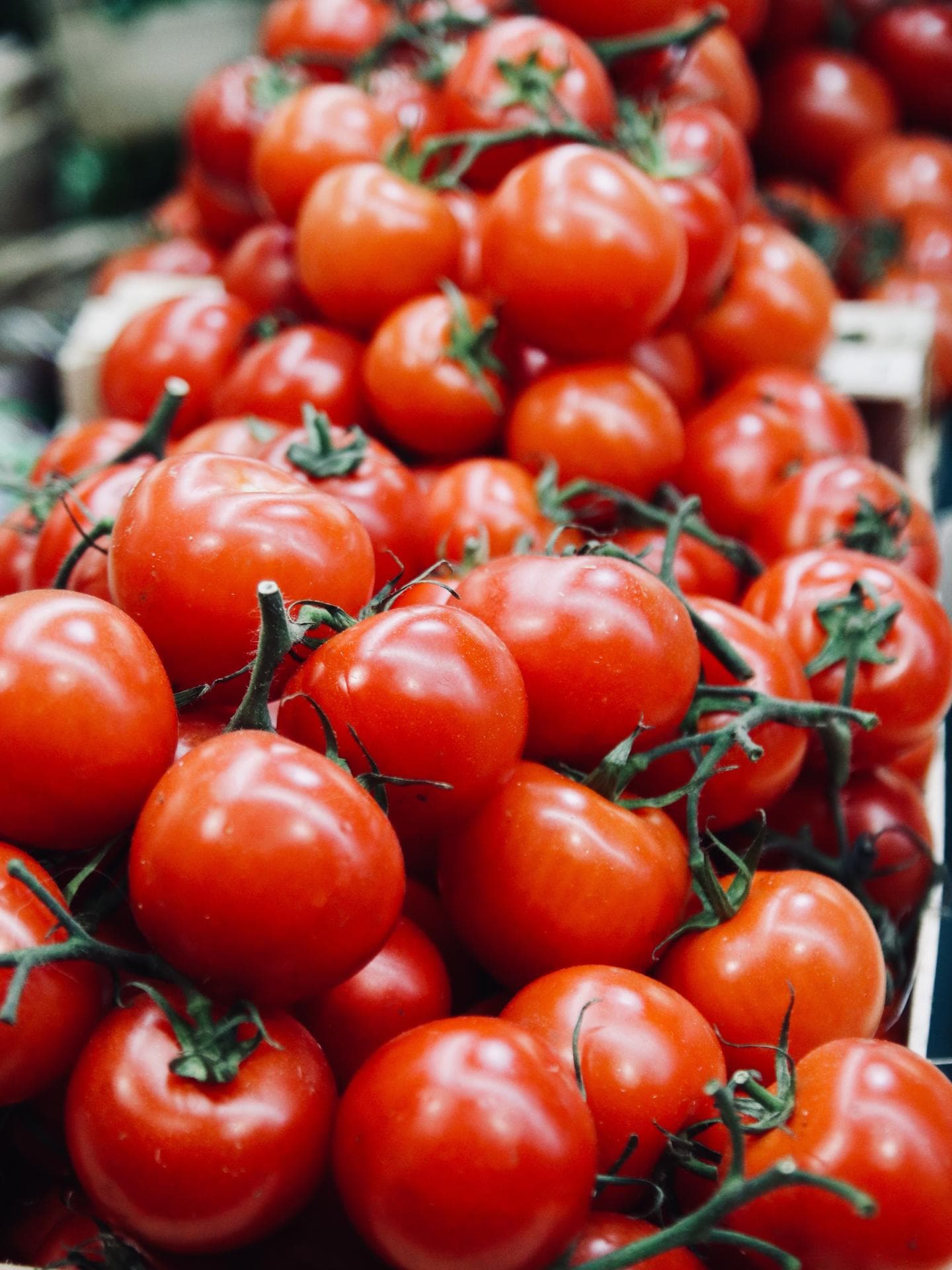 Tomaten