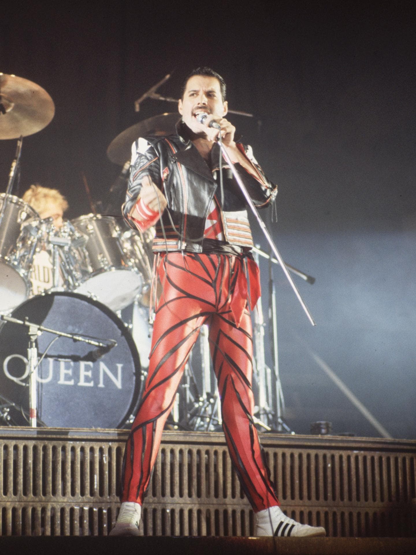 Freddie Mercury Bulge