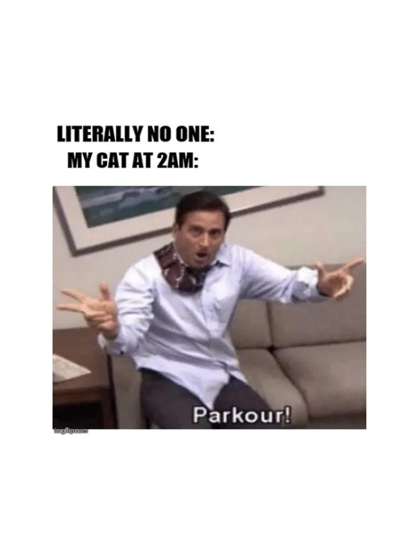 The Office Meme