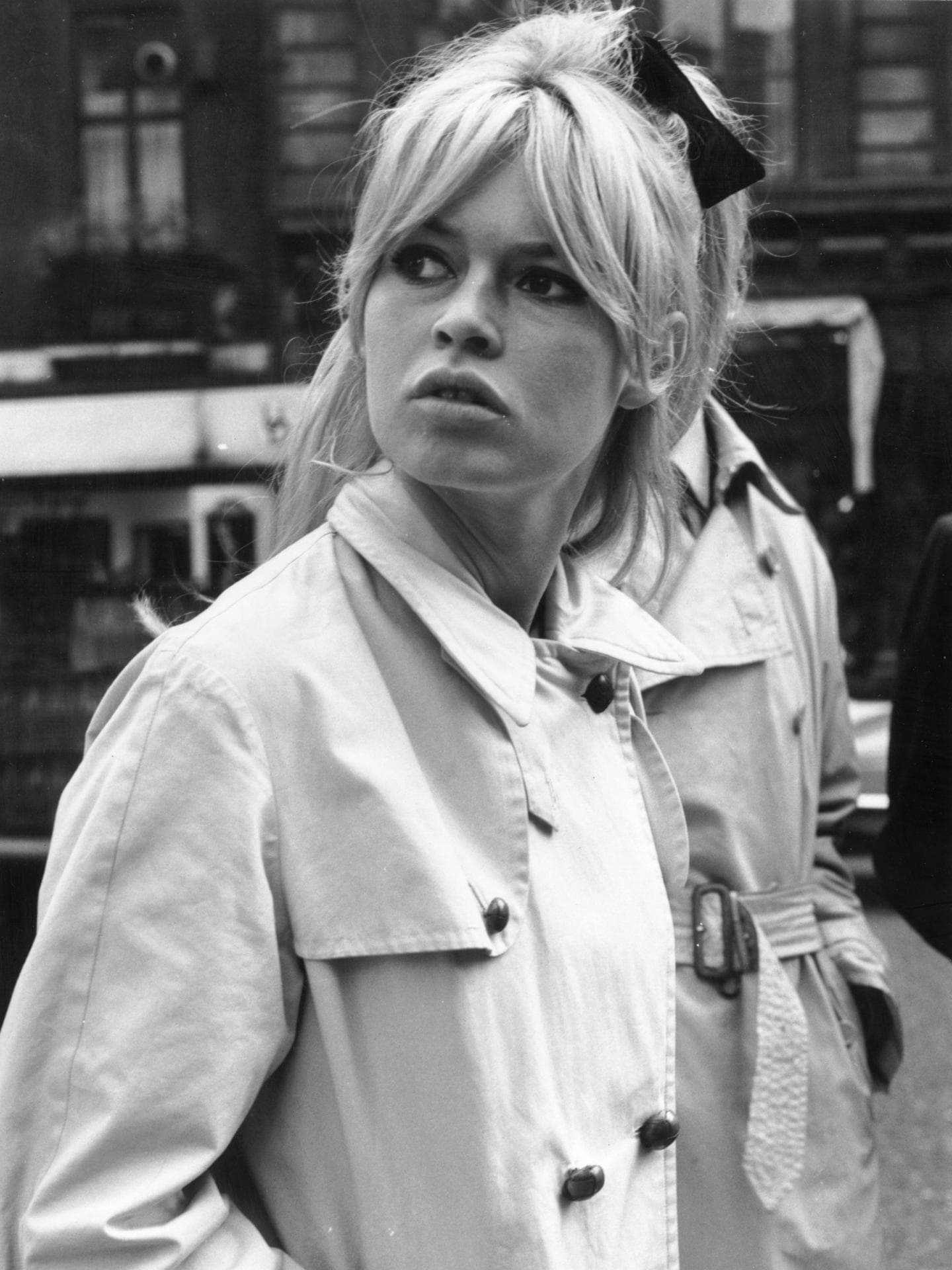 Brigitte Bardot