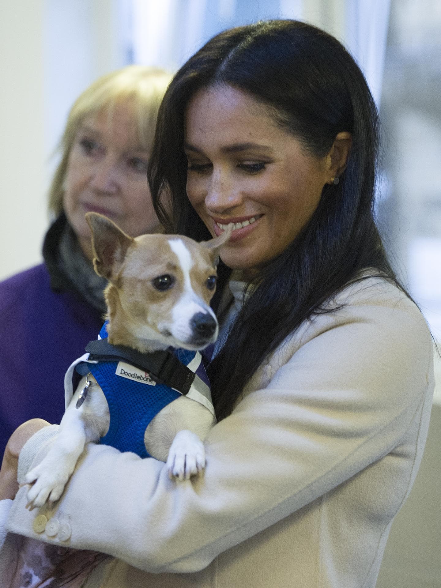 meghan markle tierlieb
