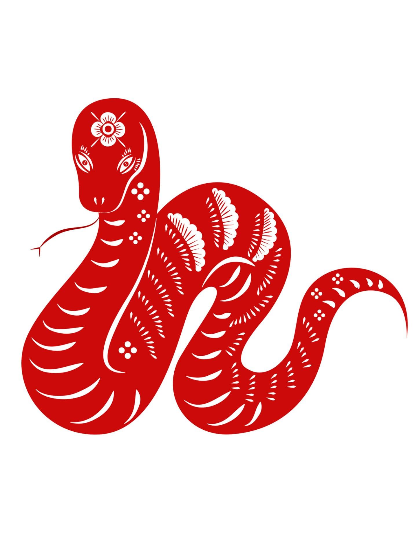 Chinesisches Sternzeichen Schlange Chinesisches Sternzeichen Schlange