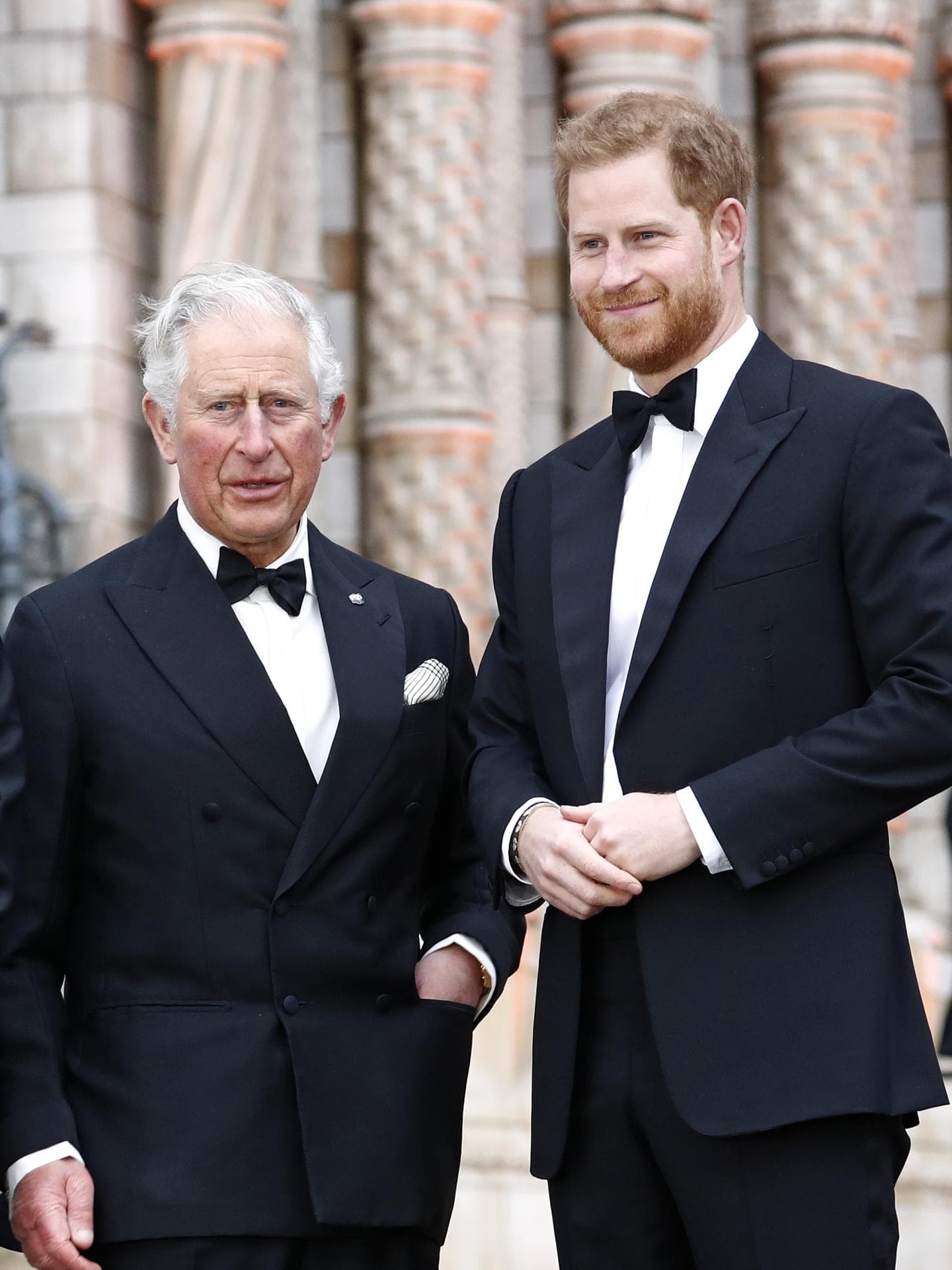 Prinz Charles und Prinz Harry Prinz Charles und Prinz Harry