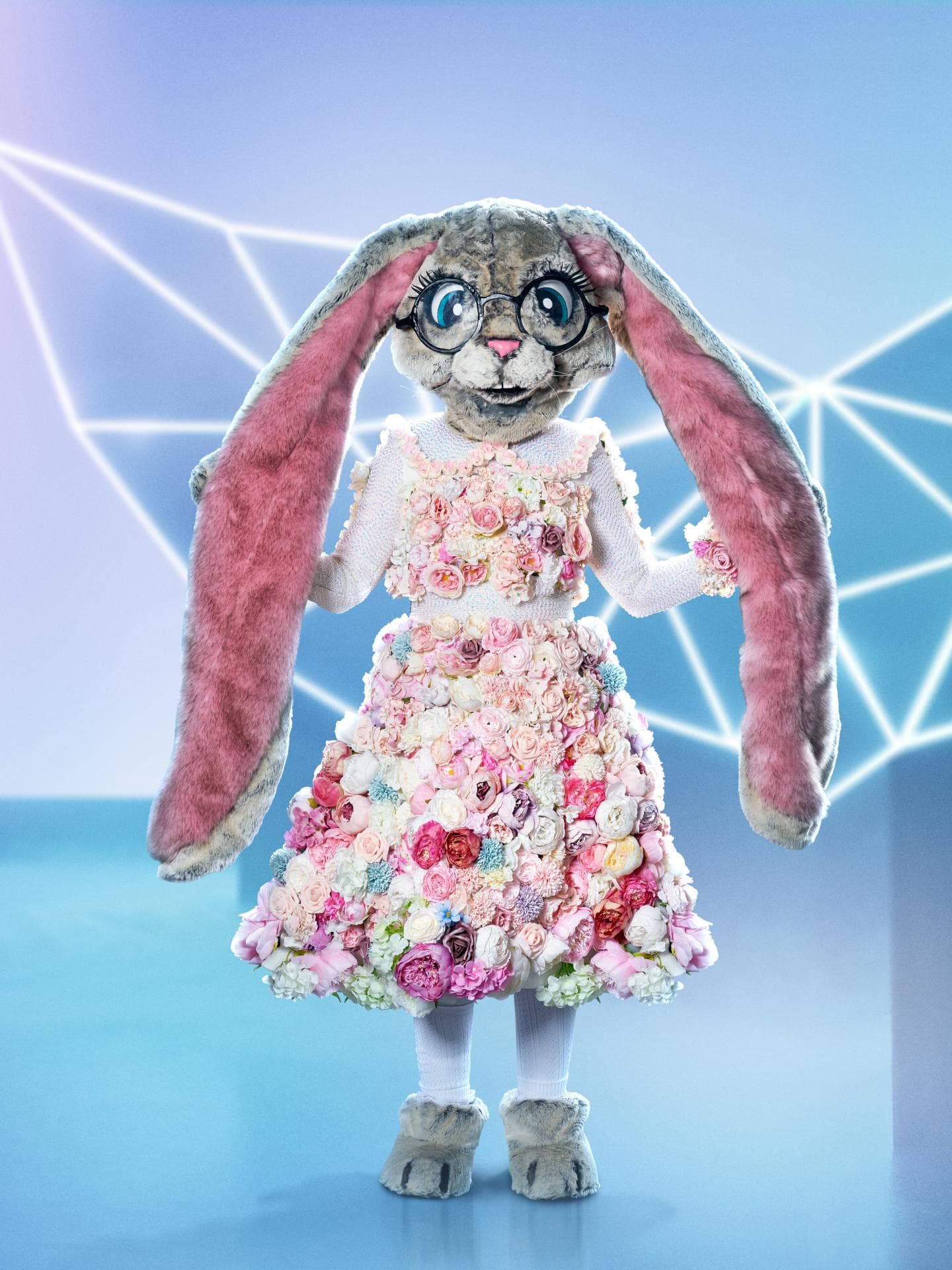 Der Hase