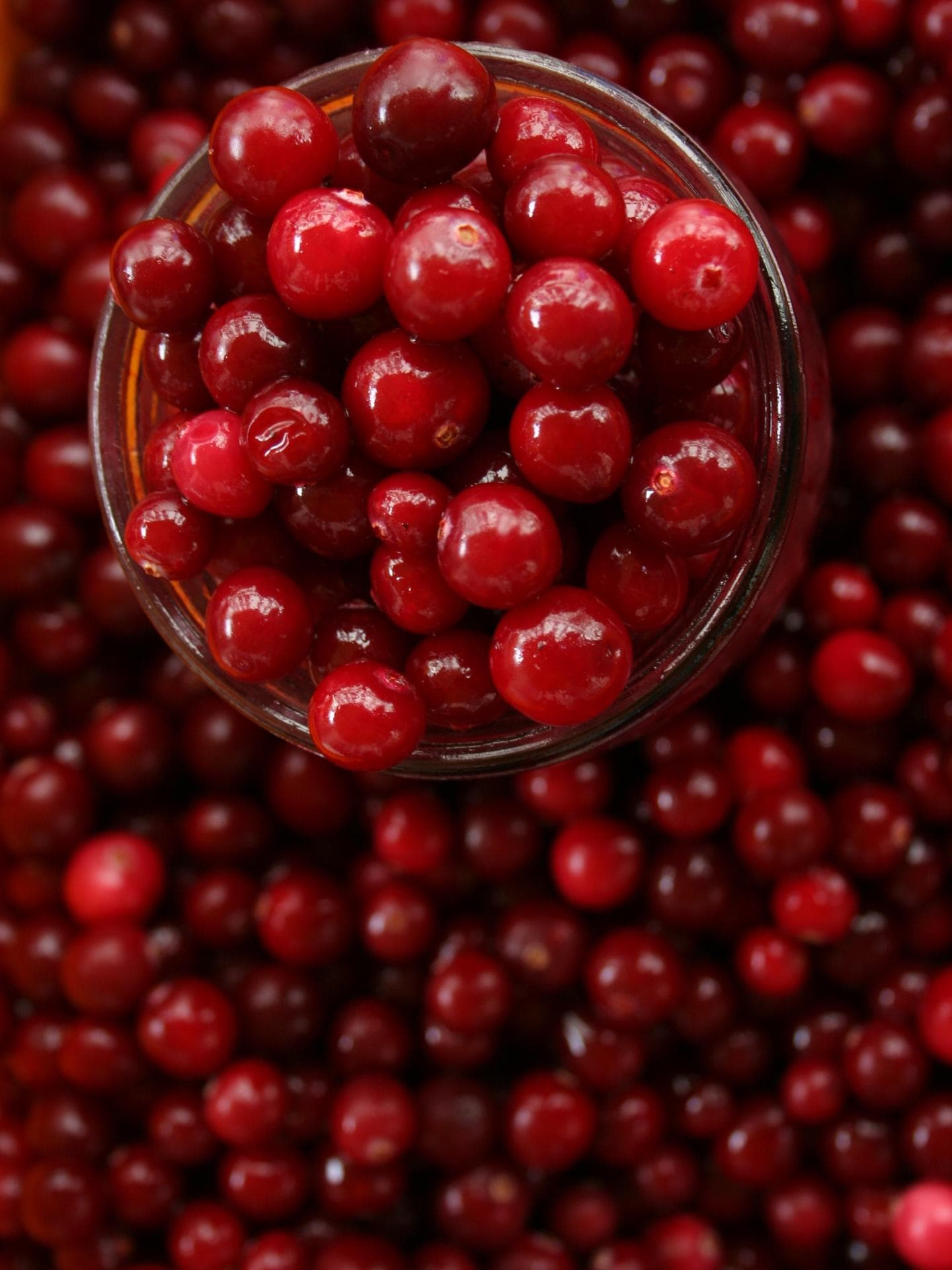 Preiselbeeren 