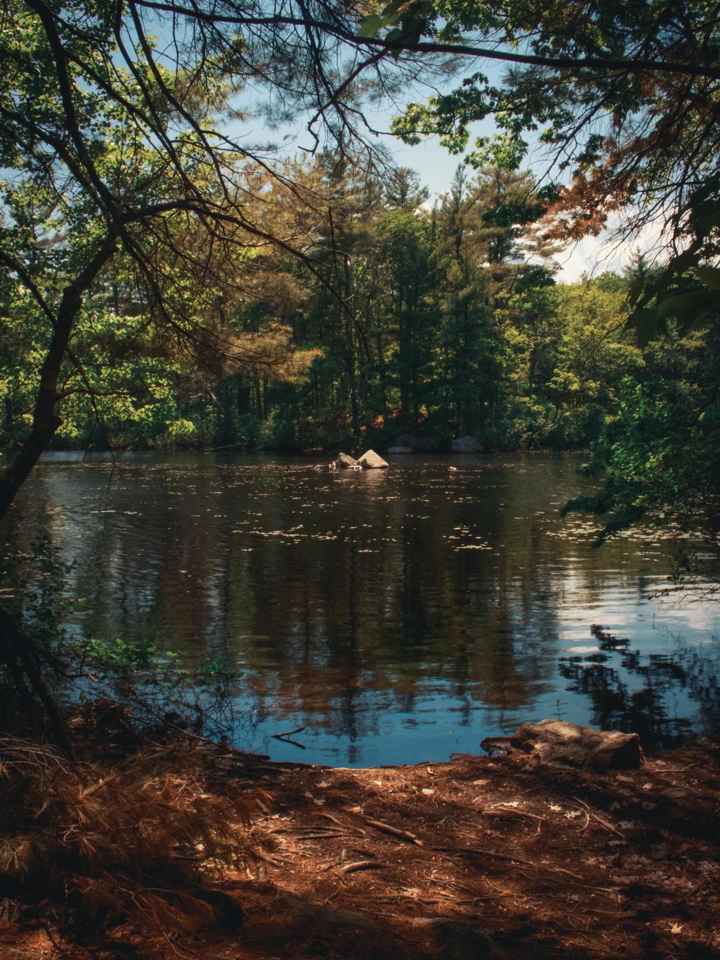 Erzgebirge