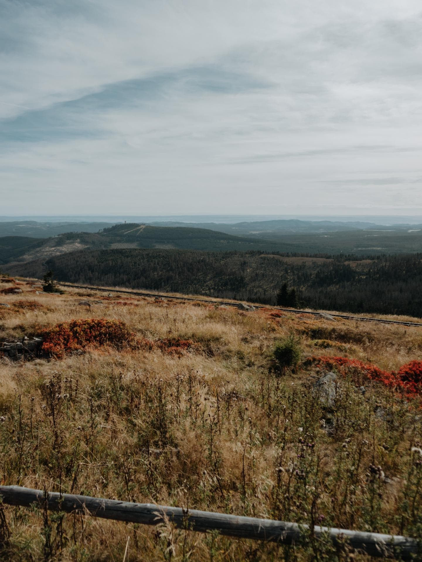 Harz