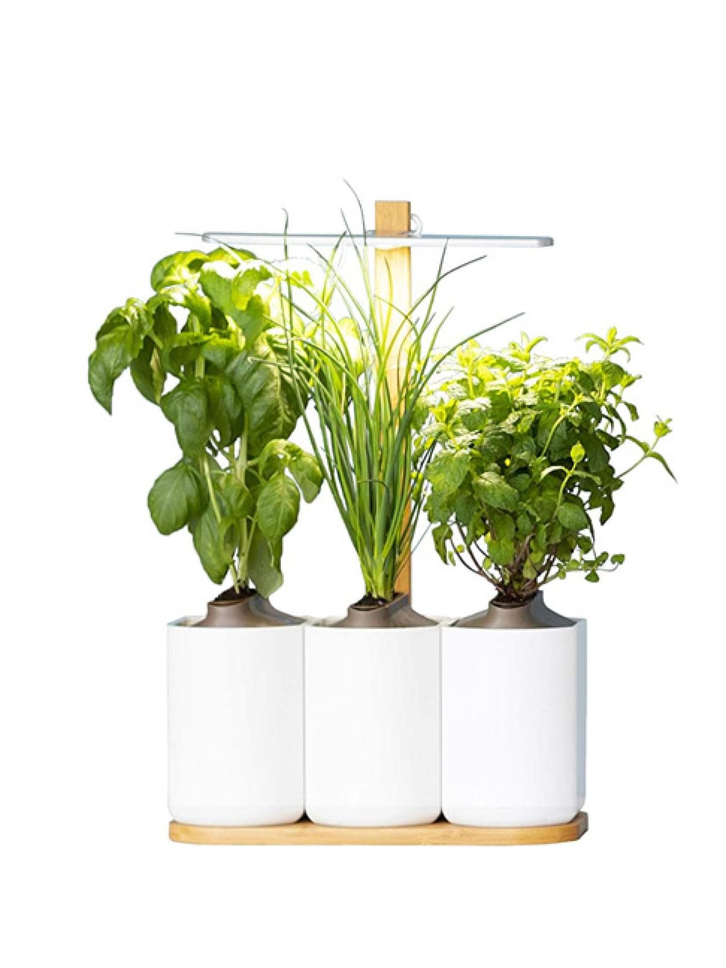 Pret a Pousser Indoor Garten