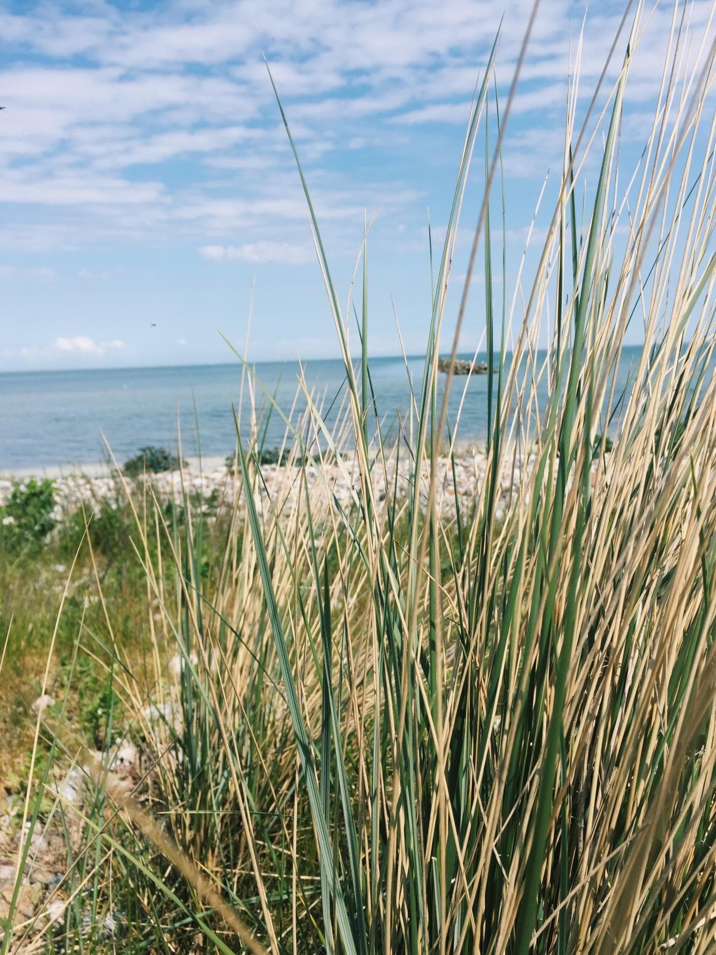 Ostsee