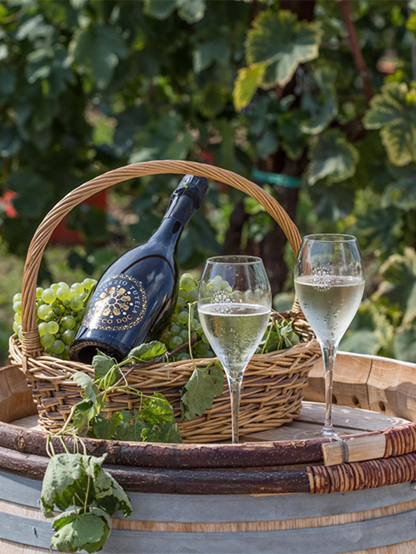 prosecco doc prosecco doc