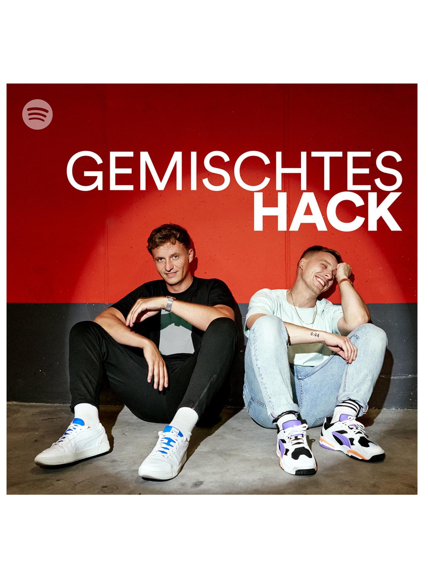 Gemischtes Hack