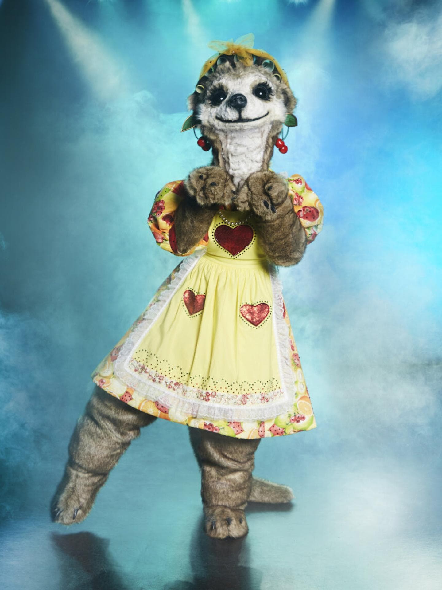The Masked Singer Das Erdmännchen