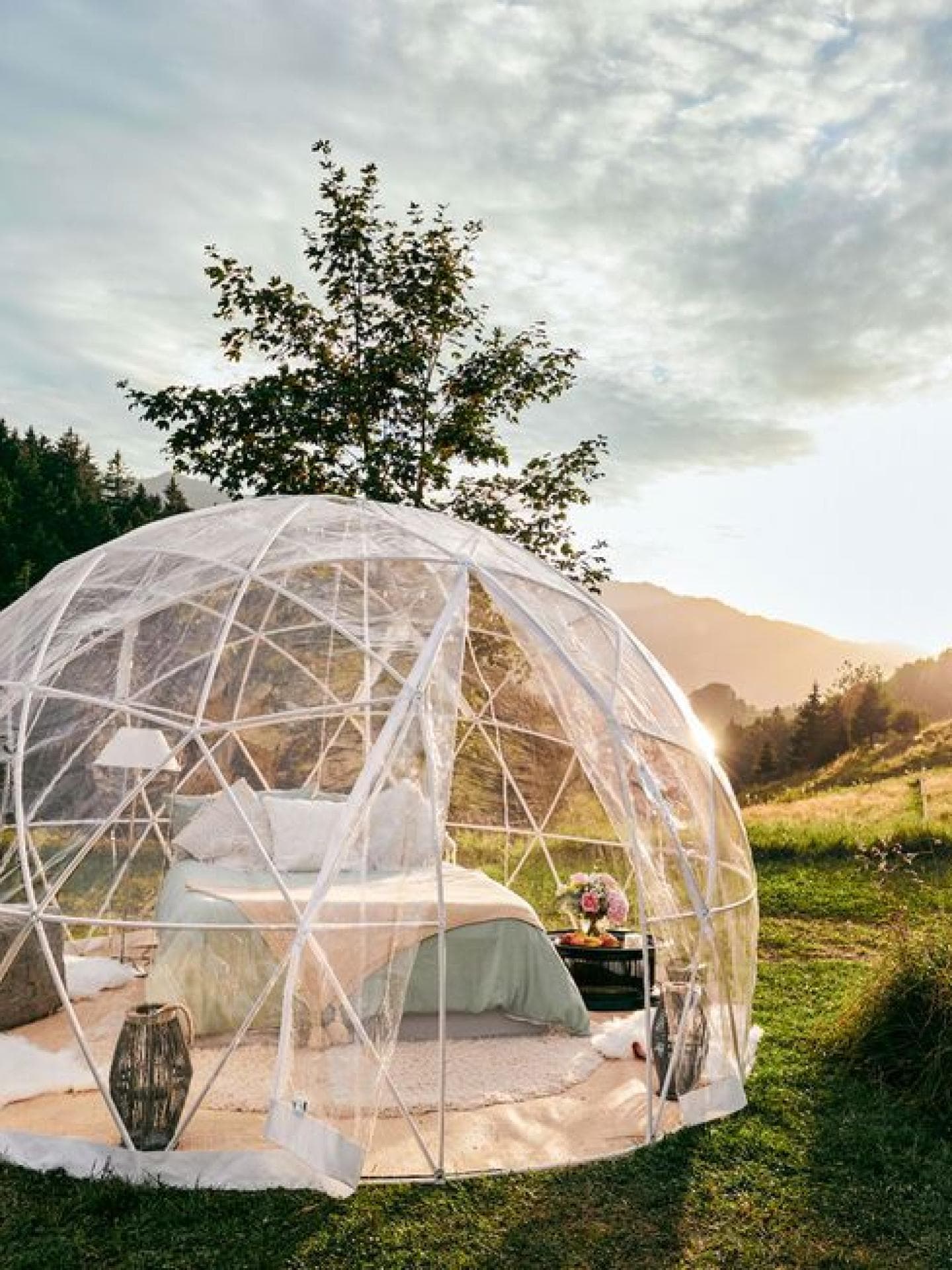 Bubble Hotel