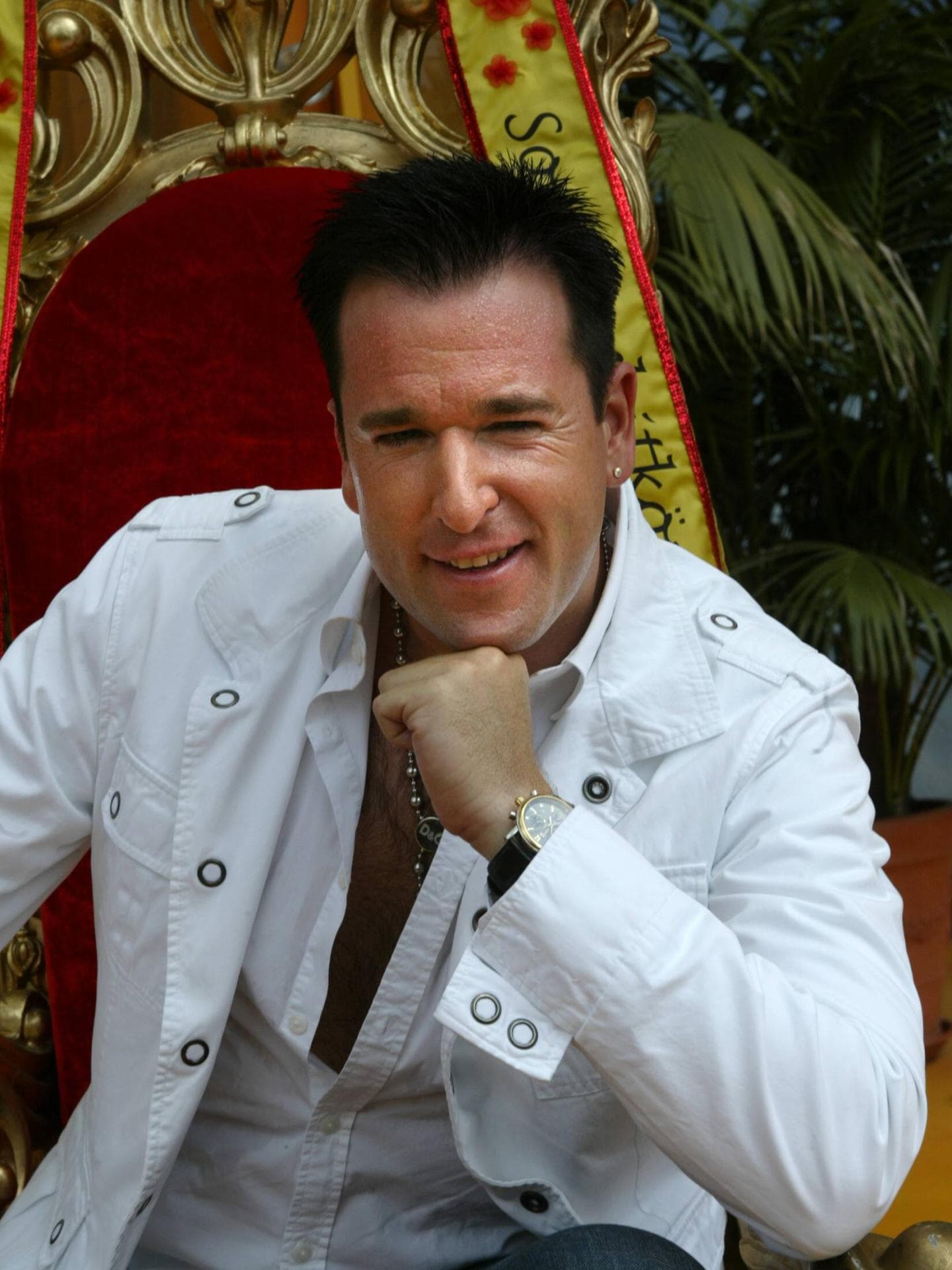 Michael Wendler 2008 
