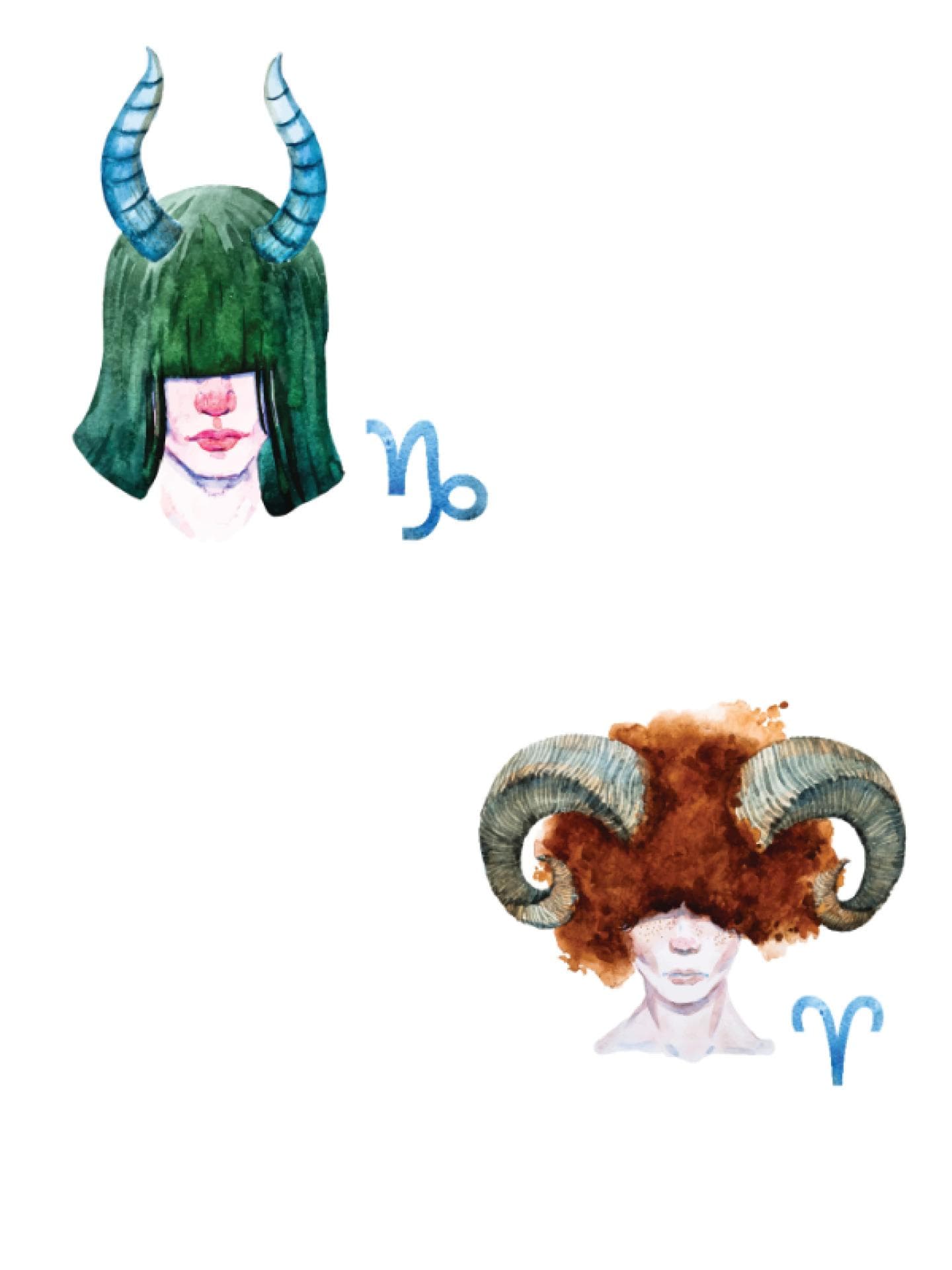 Steinbock und Widder