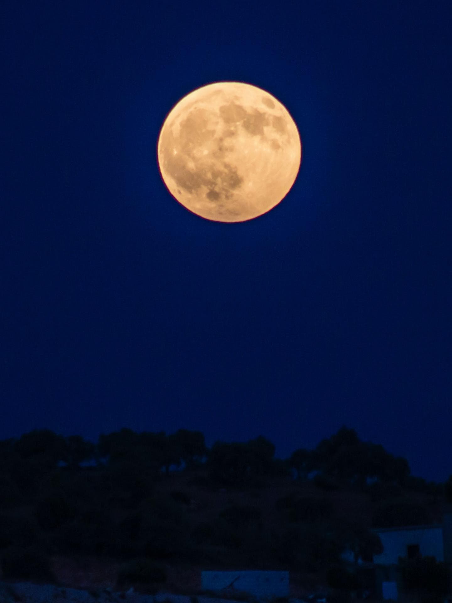 Mond