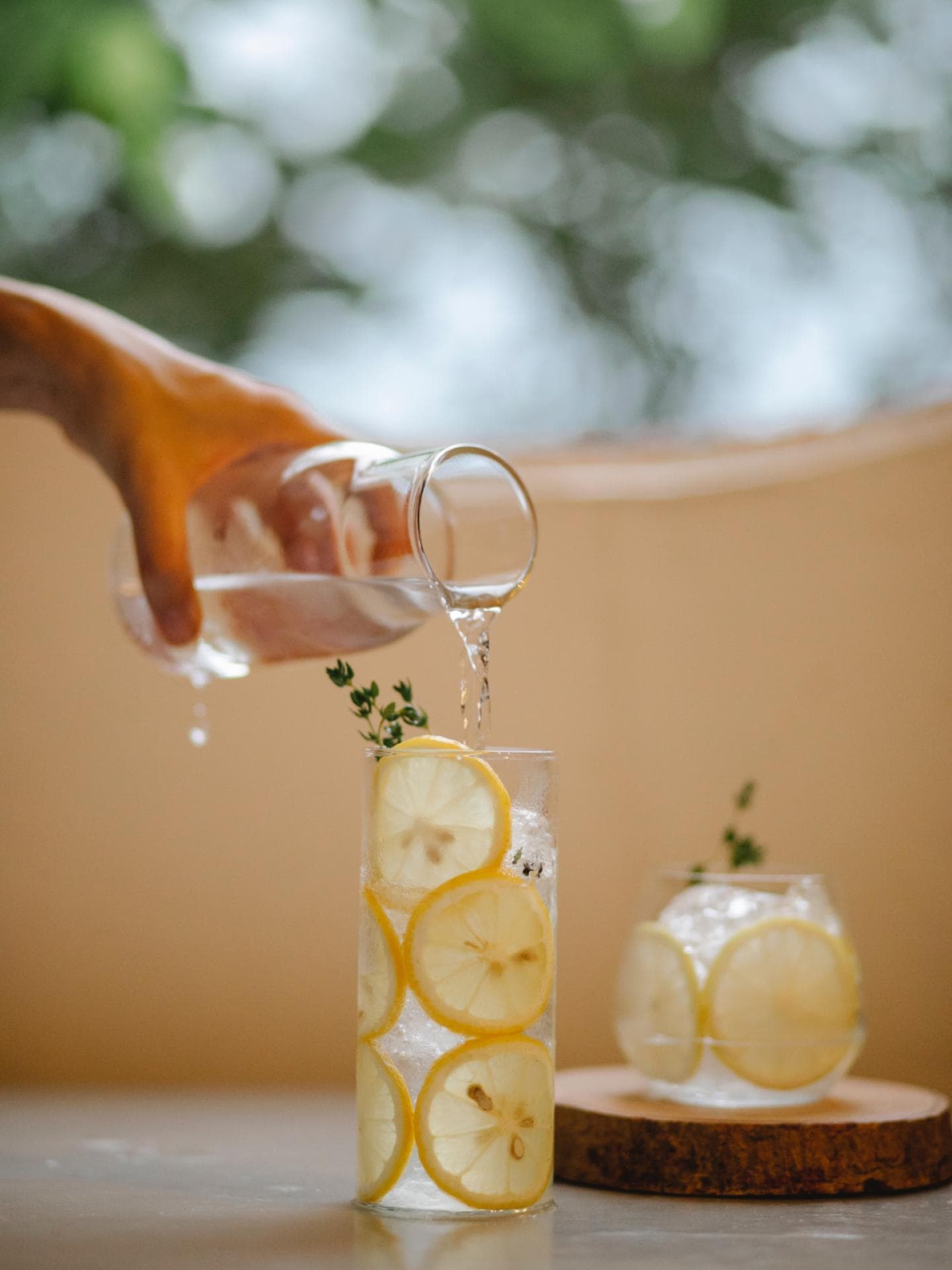 Limonade Stoffwechsel