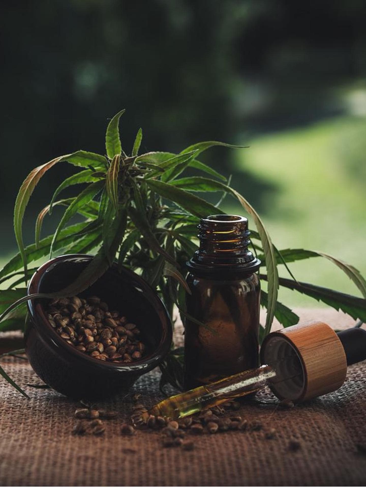 CBD-Öl