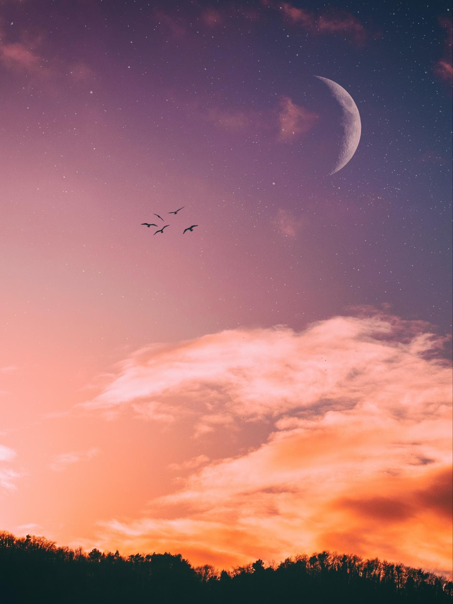 Neumond im August