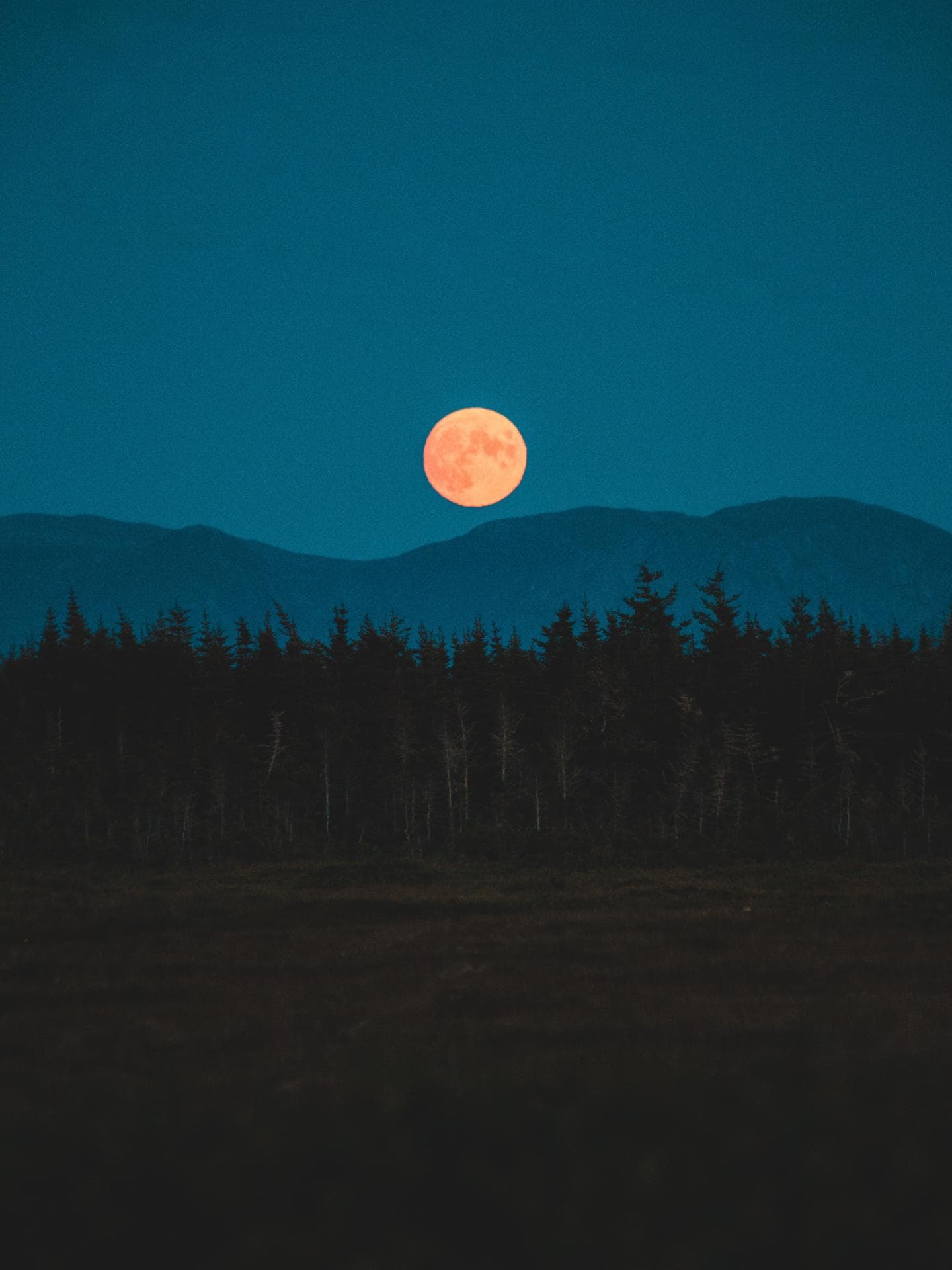 Roter Vollmond