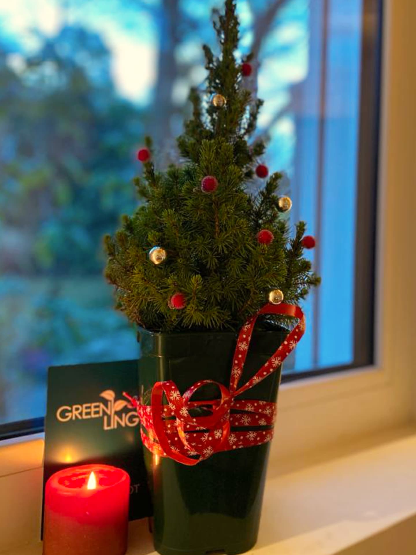 Greenling Mini Weihnachtsbaum