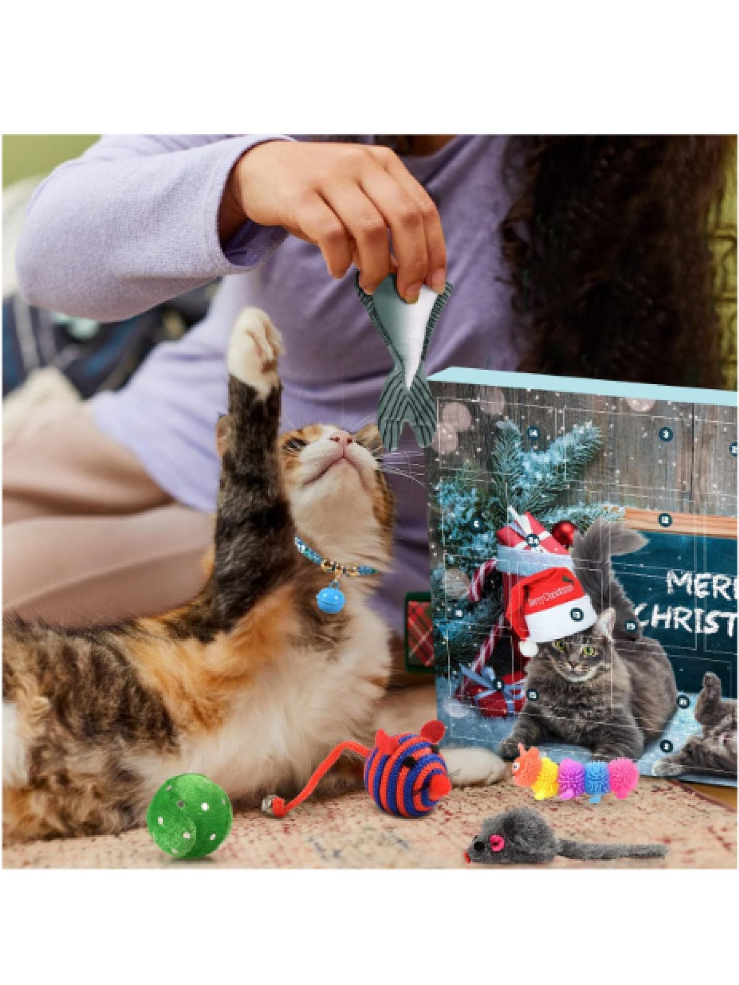 iZoel Adventskalender