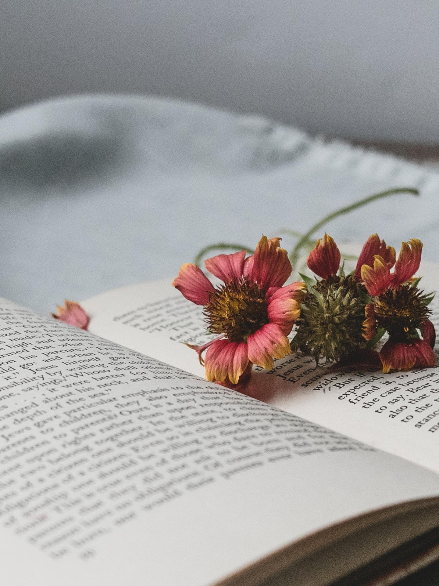 Aufgeklapptes Buch
