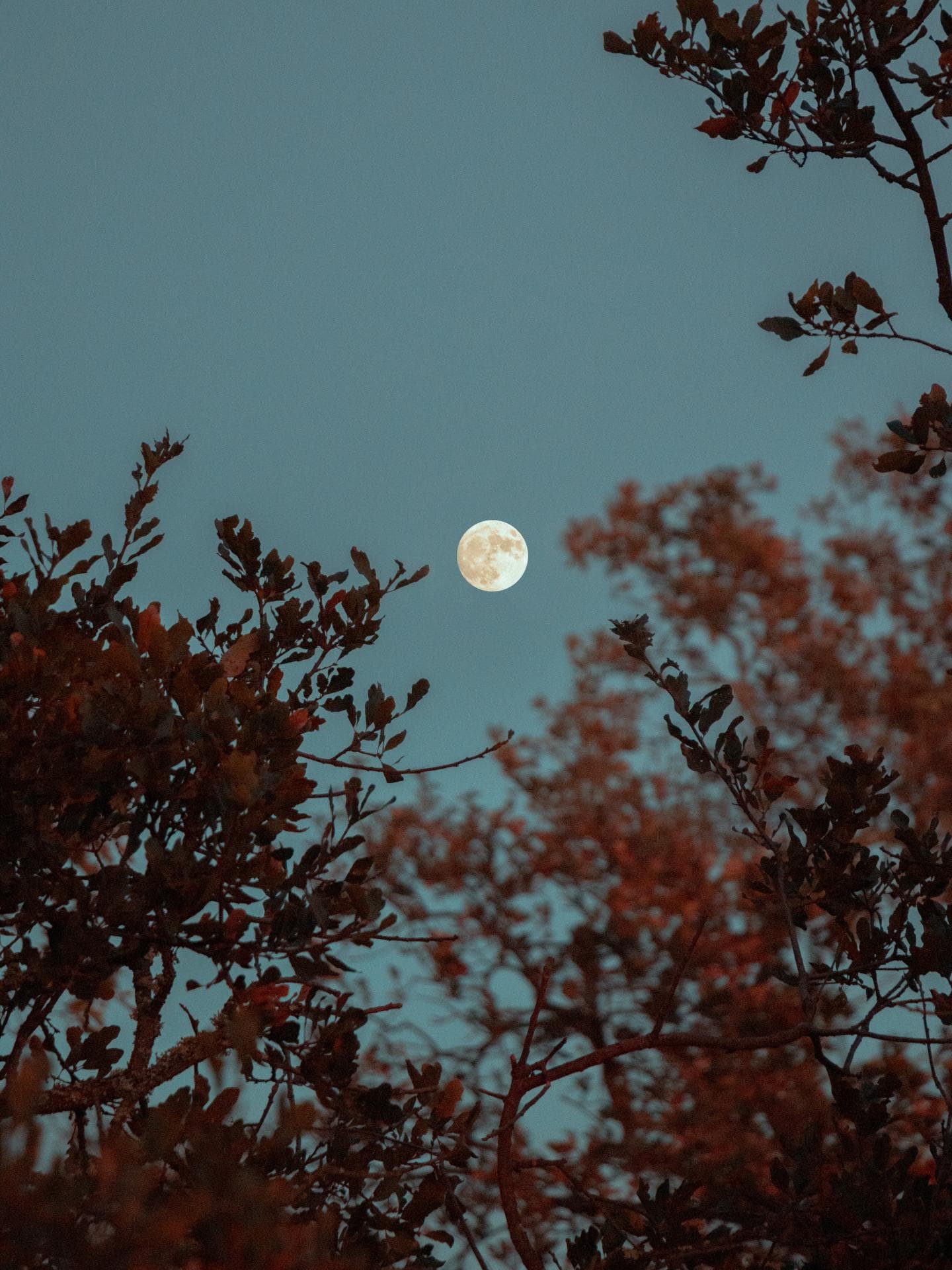Vollmond im Februar: So wirkt sich die Mondstellung auf deine Psyche aus Vollmond Auswirkung