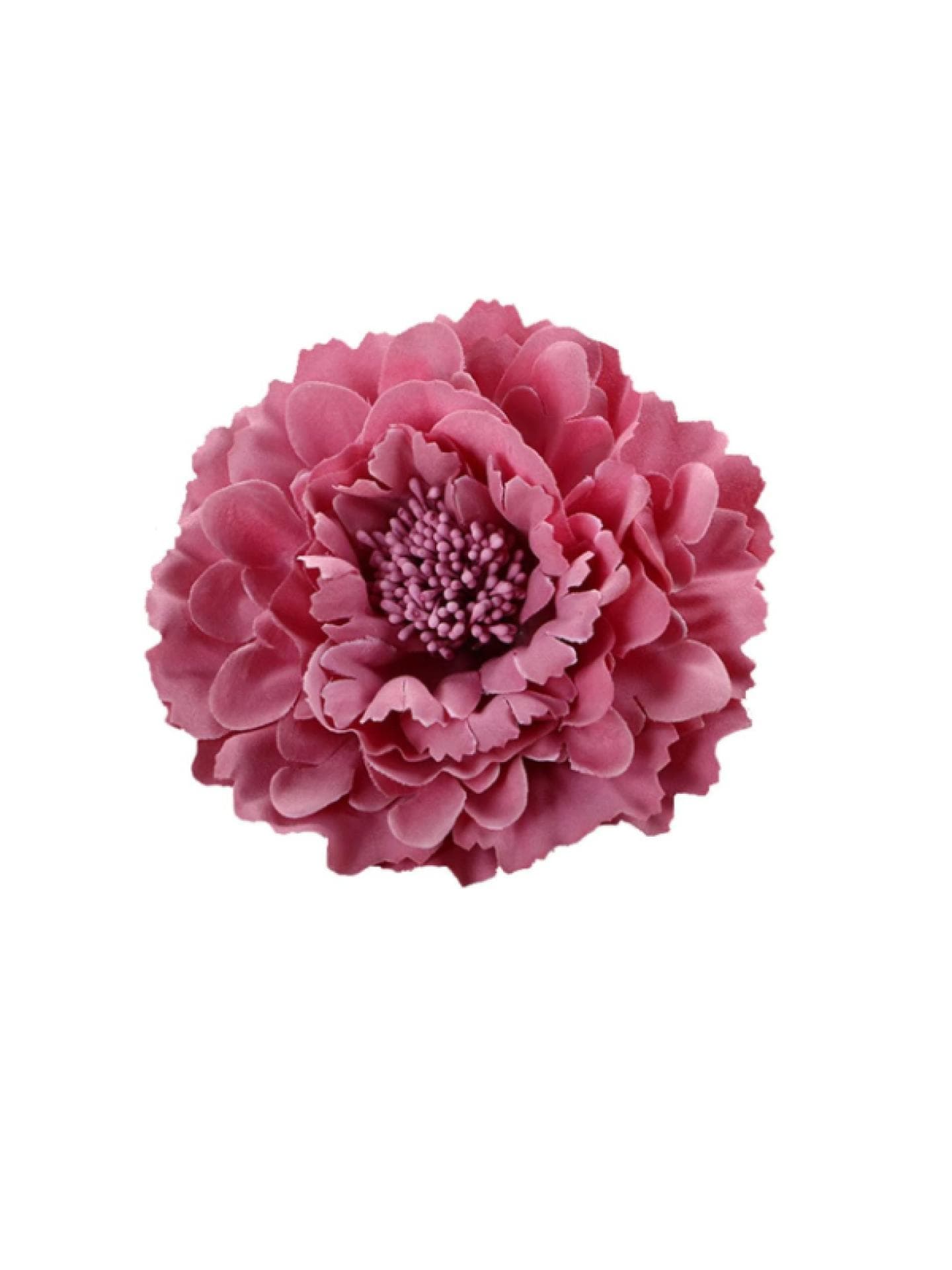 Ansteckblume