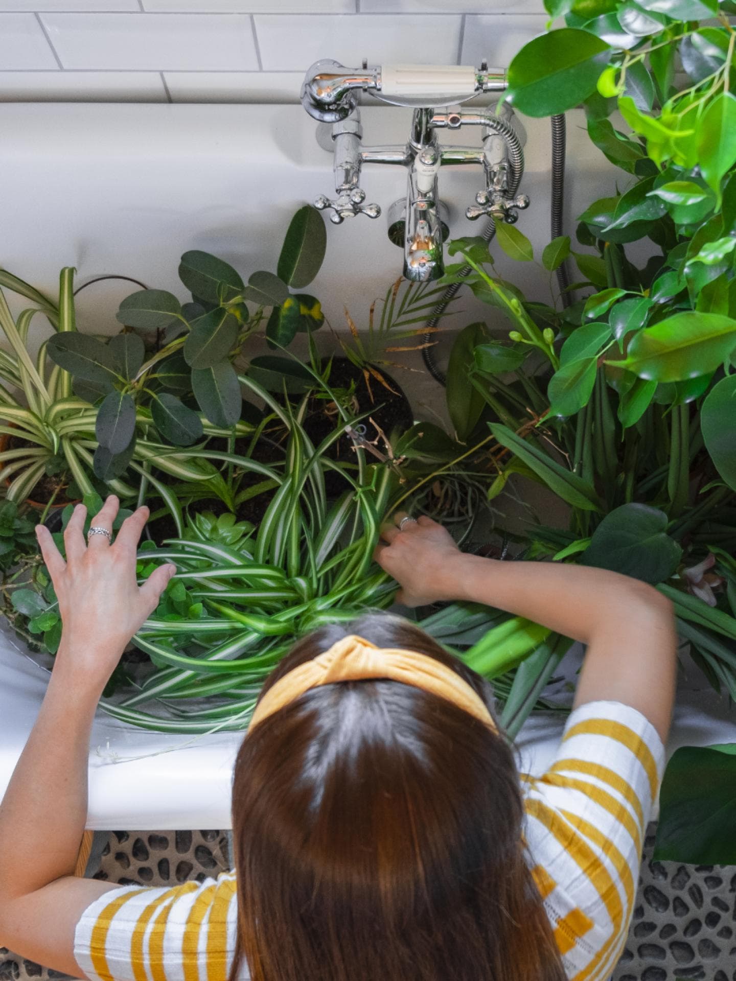 Pflanzen-Trick: Darum solltest du deine Zimmerpflanzen unter Wasser tauchen