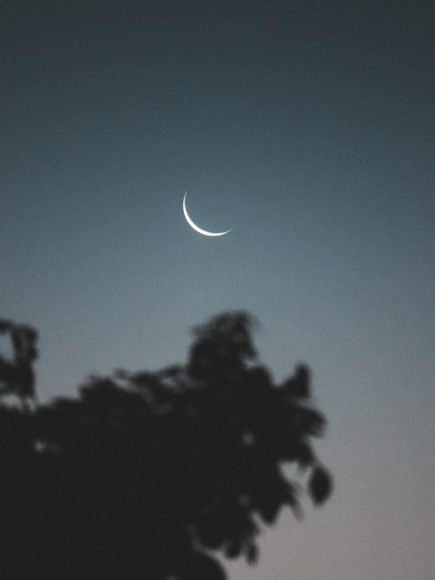Mond am Nachthimmel