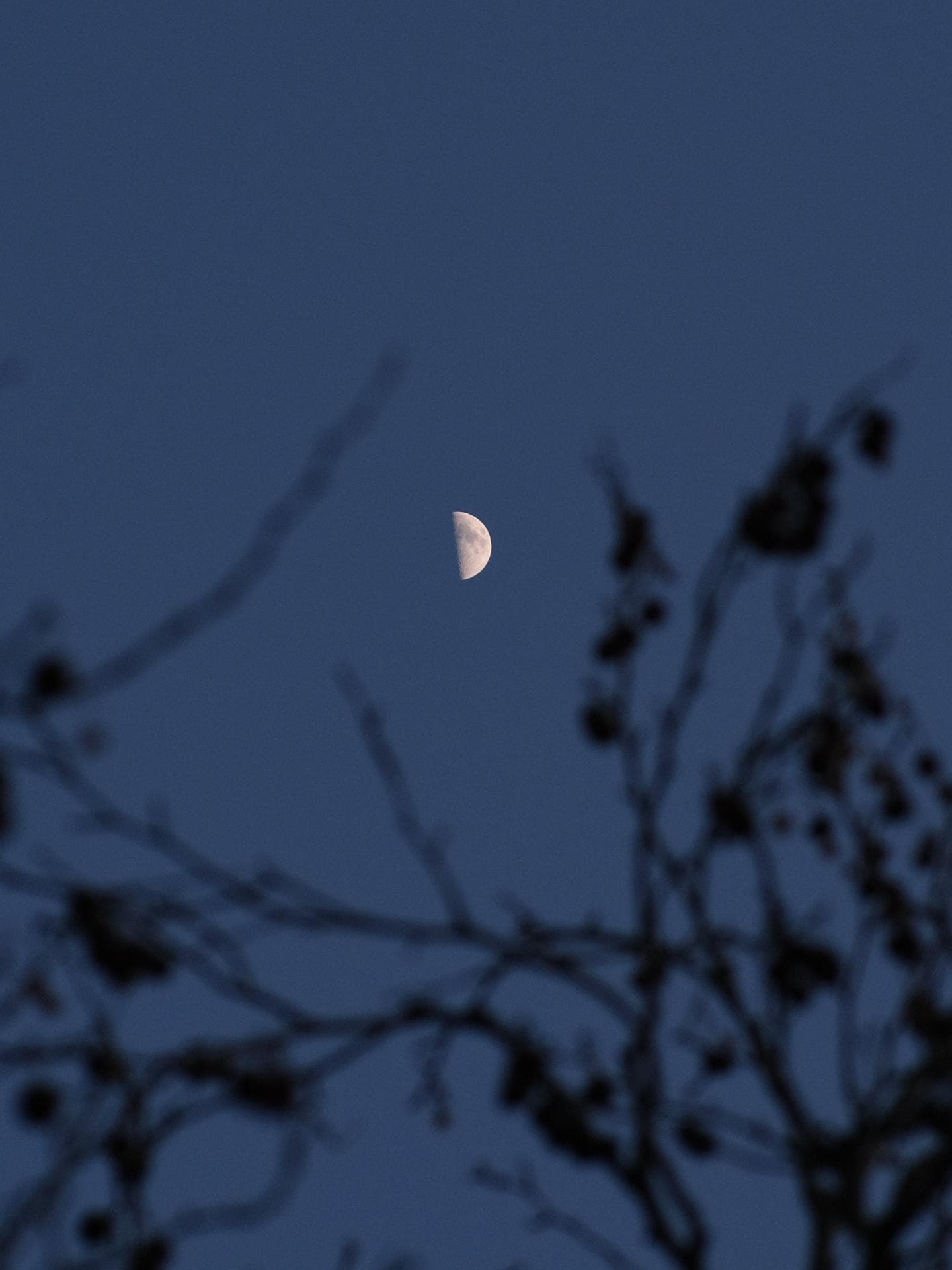 Pech-Sternzeichen der Woche Halbmond am Nachthimmel