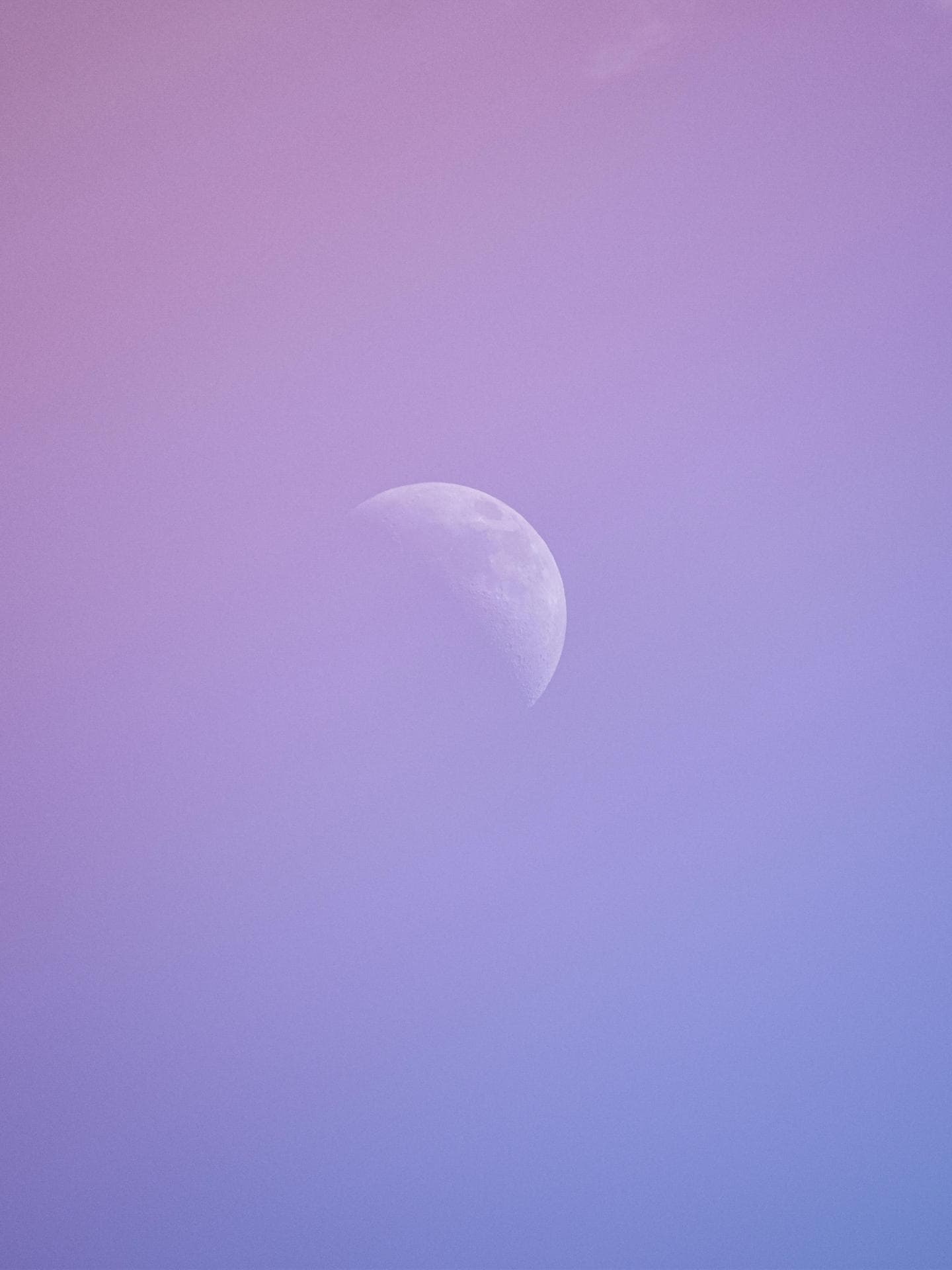 Mond am rosafarbenen Himmel