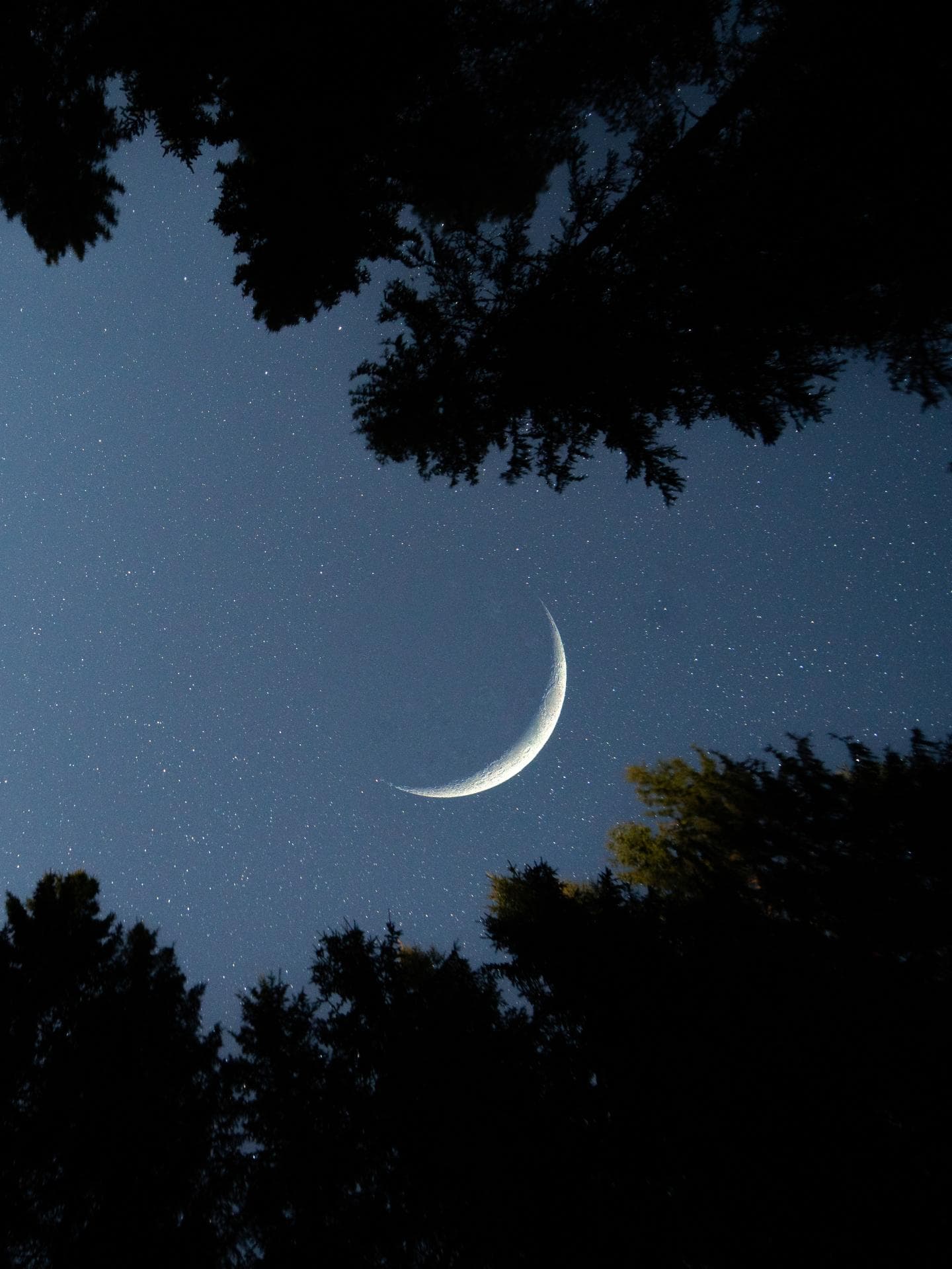 Sternenhimmel mit Mond