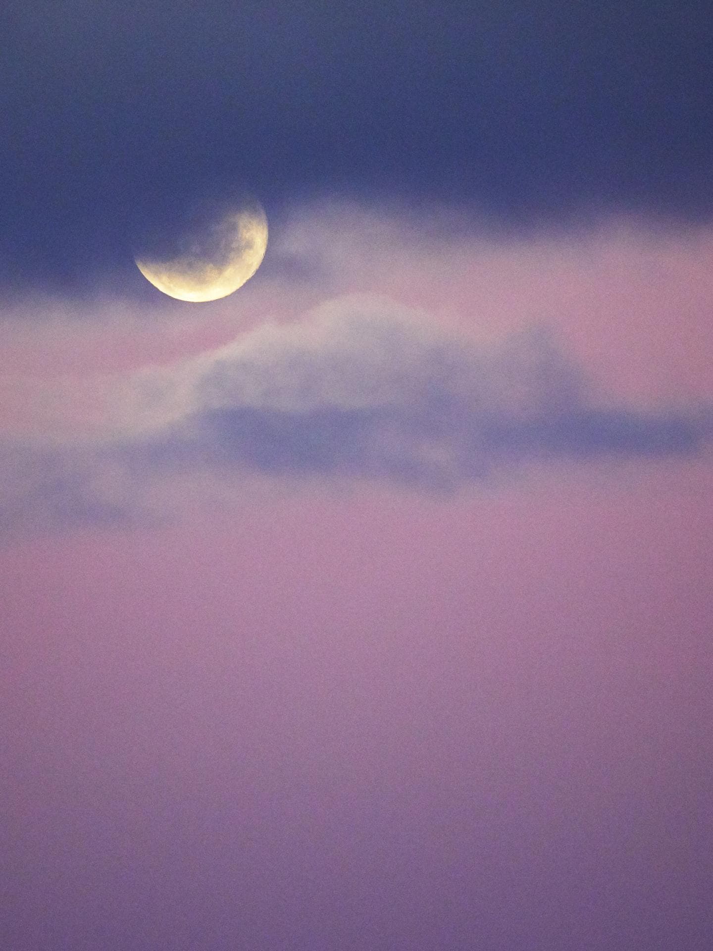 Pink Moon am 13. April: Diese 3 Sternzeichen müssen loslassen
