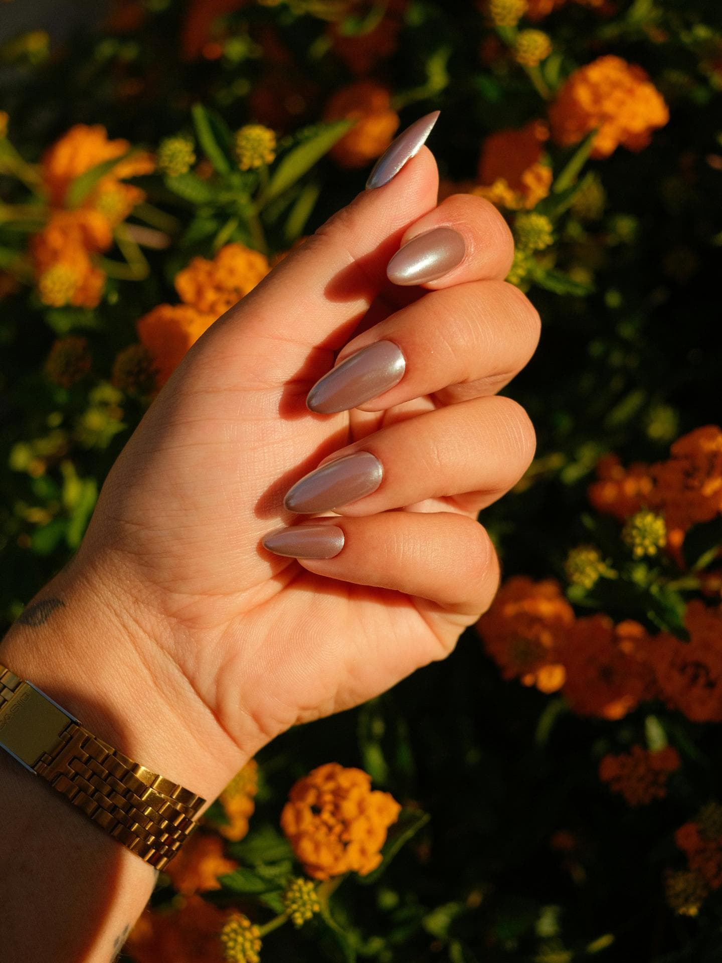 weibliche Hand mit braunem Chrome Nagellack