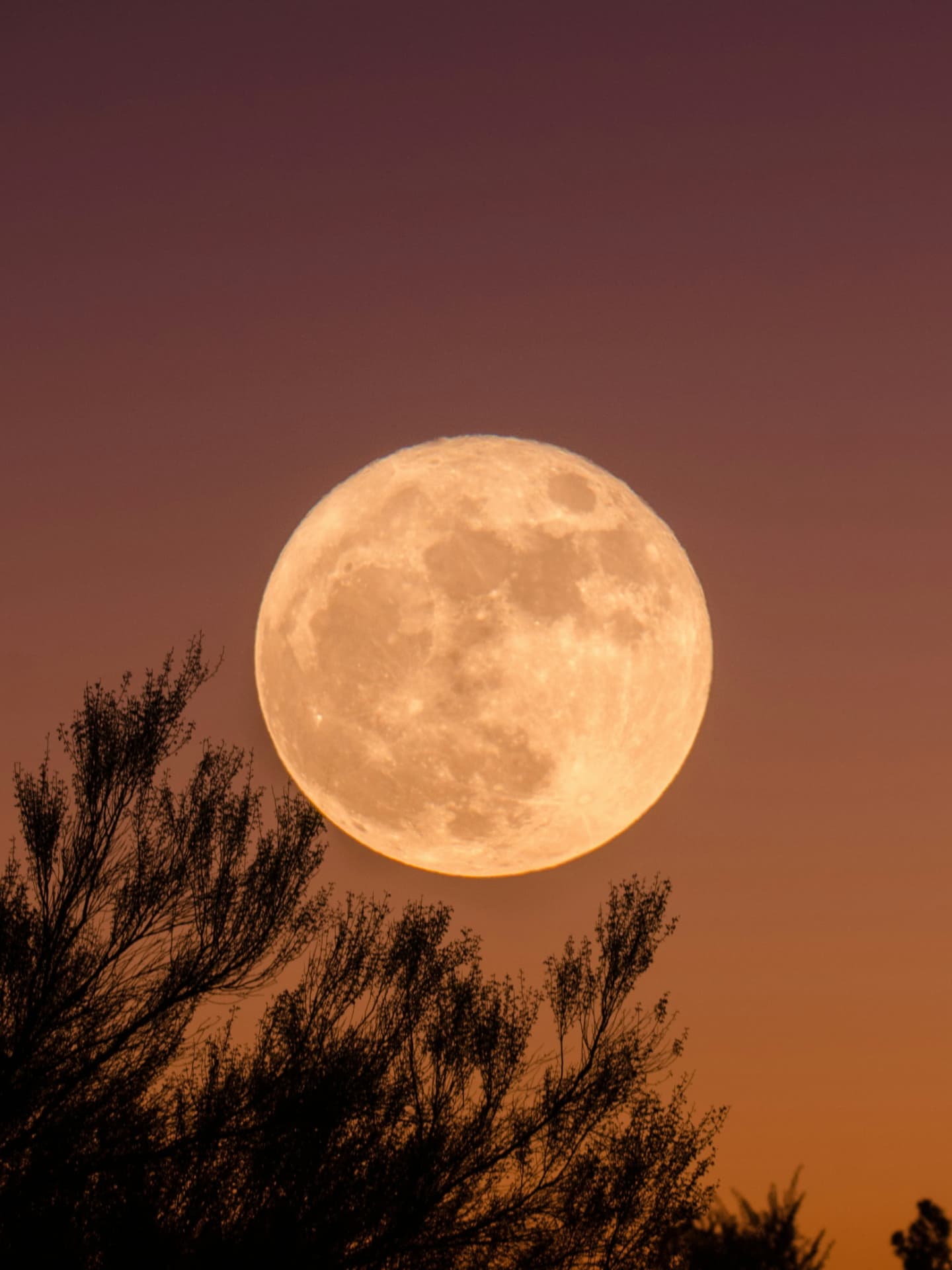 Vollmond am Himmel Vollmond am Himmel