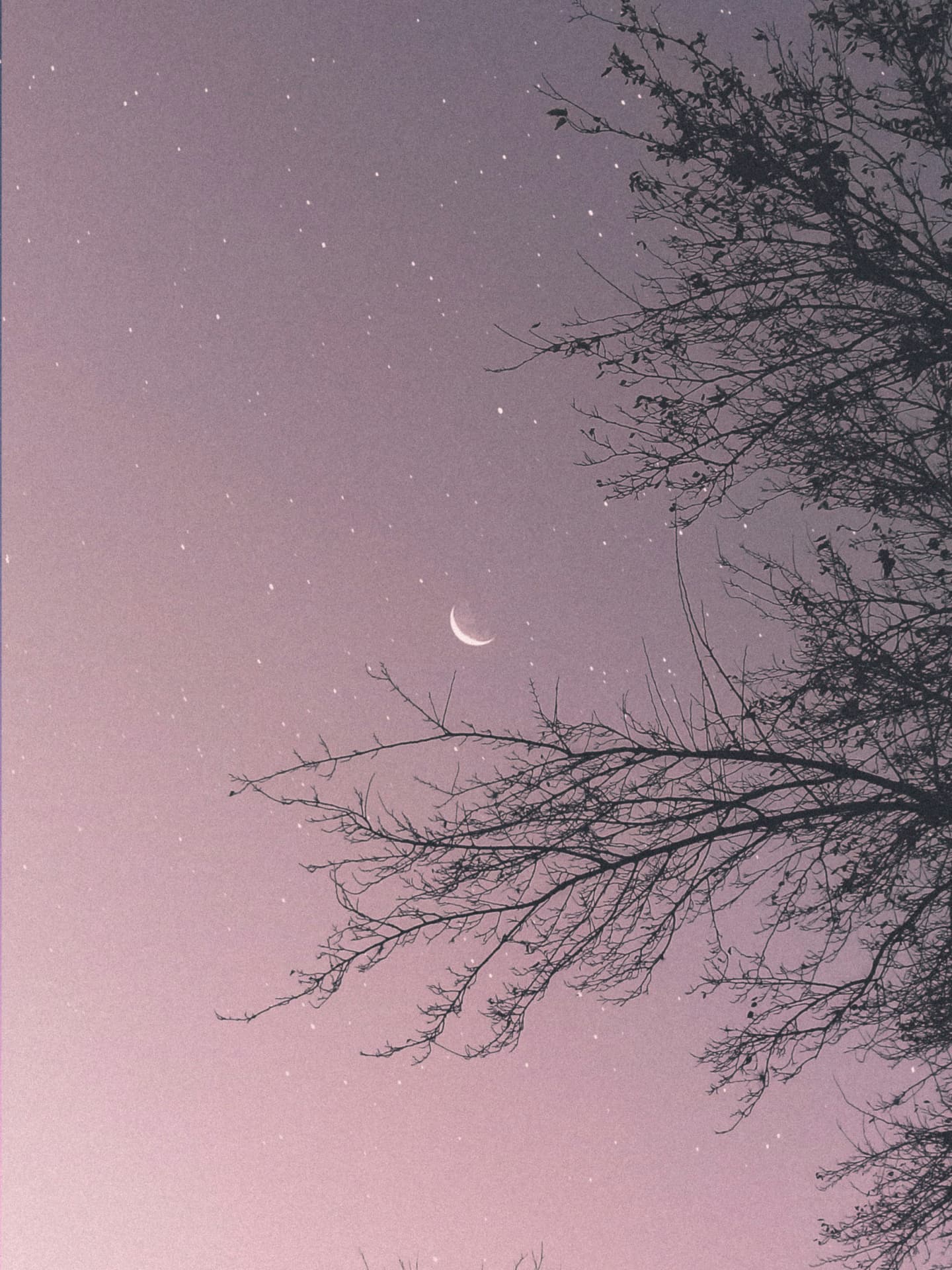 Sternenhimmel mit schmalem Mond