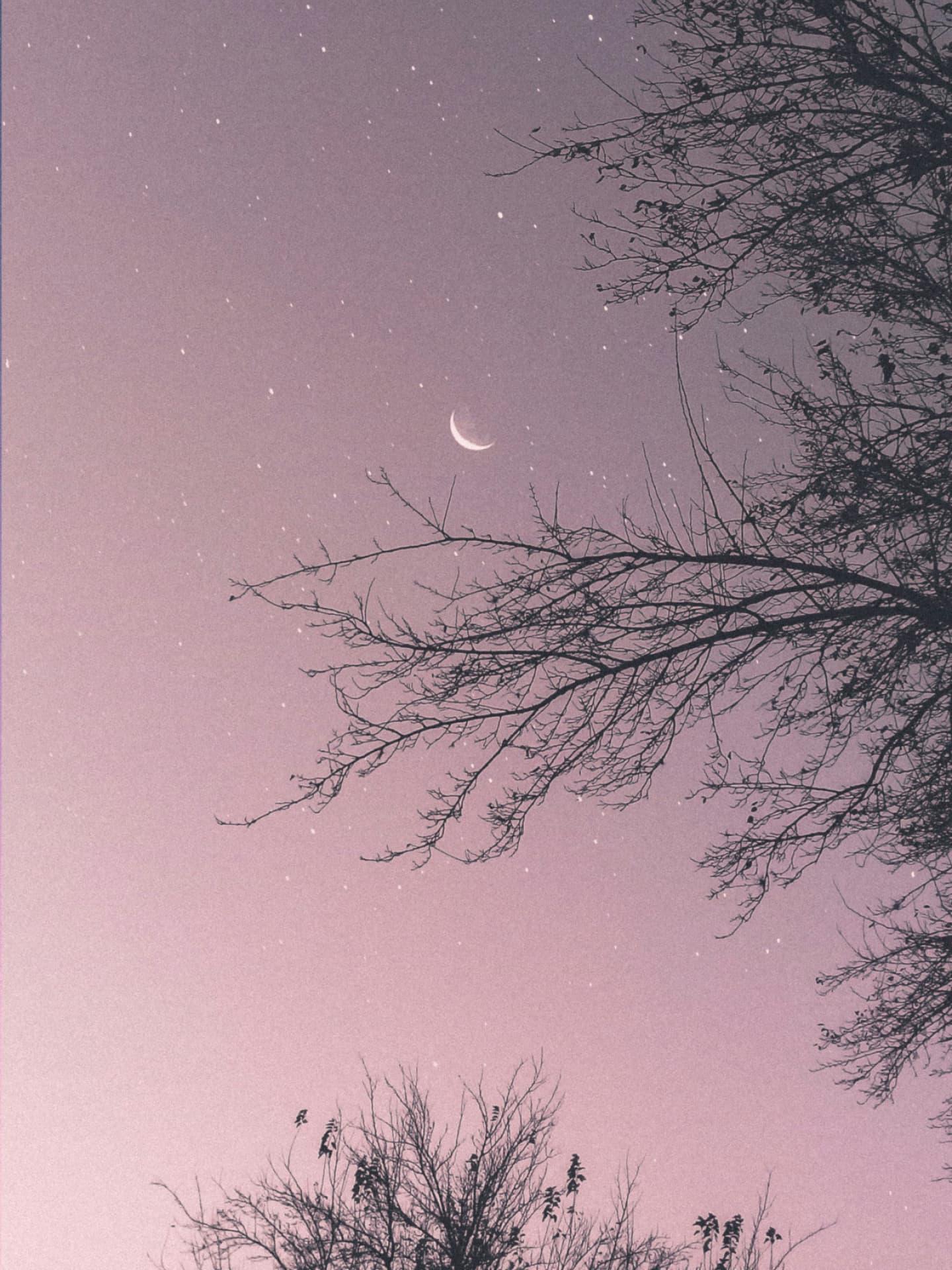 Sternenhimmel mit Mond