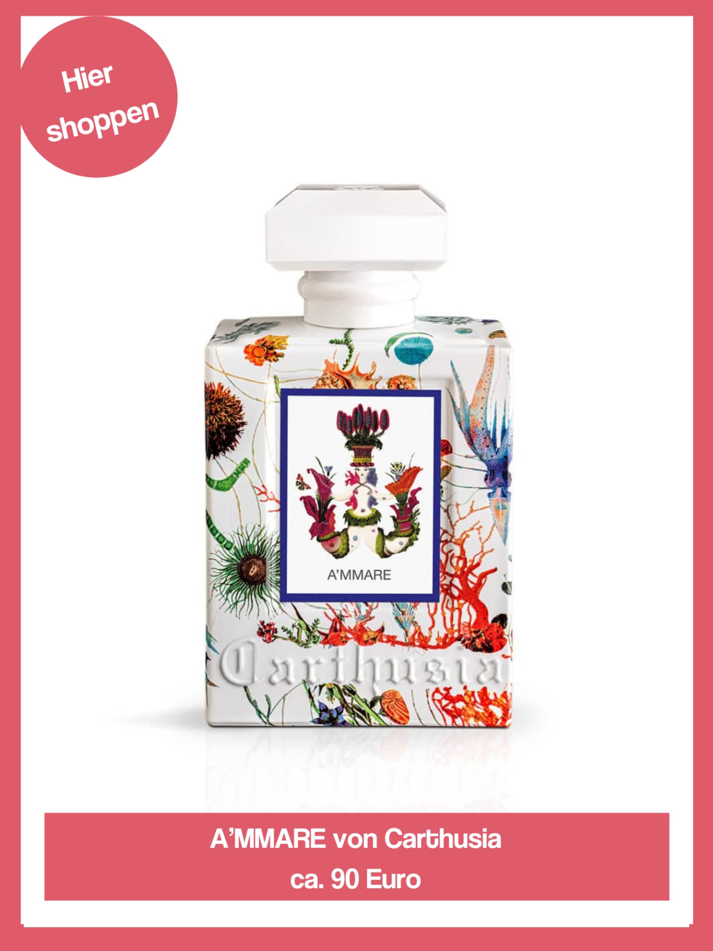A'mmare von Carthusia