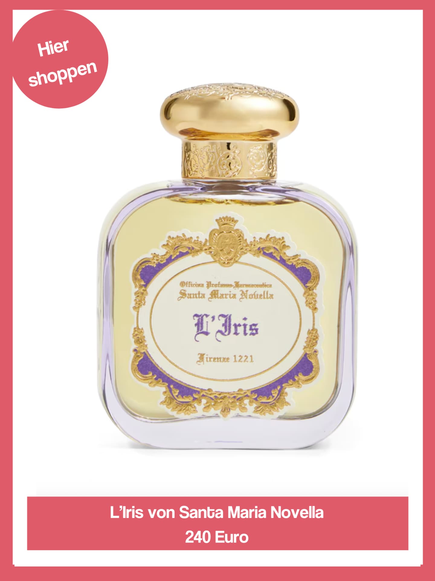 L'Iris von Santa Maria Novella