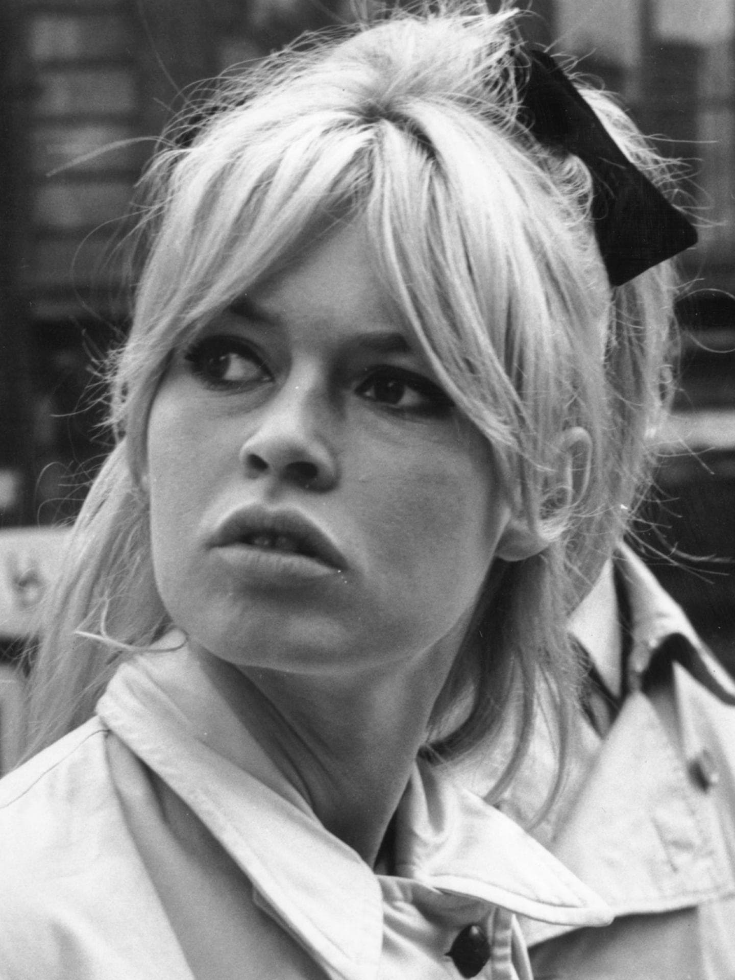 Brigitte Bardot